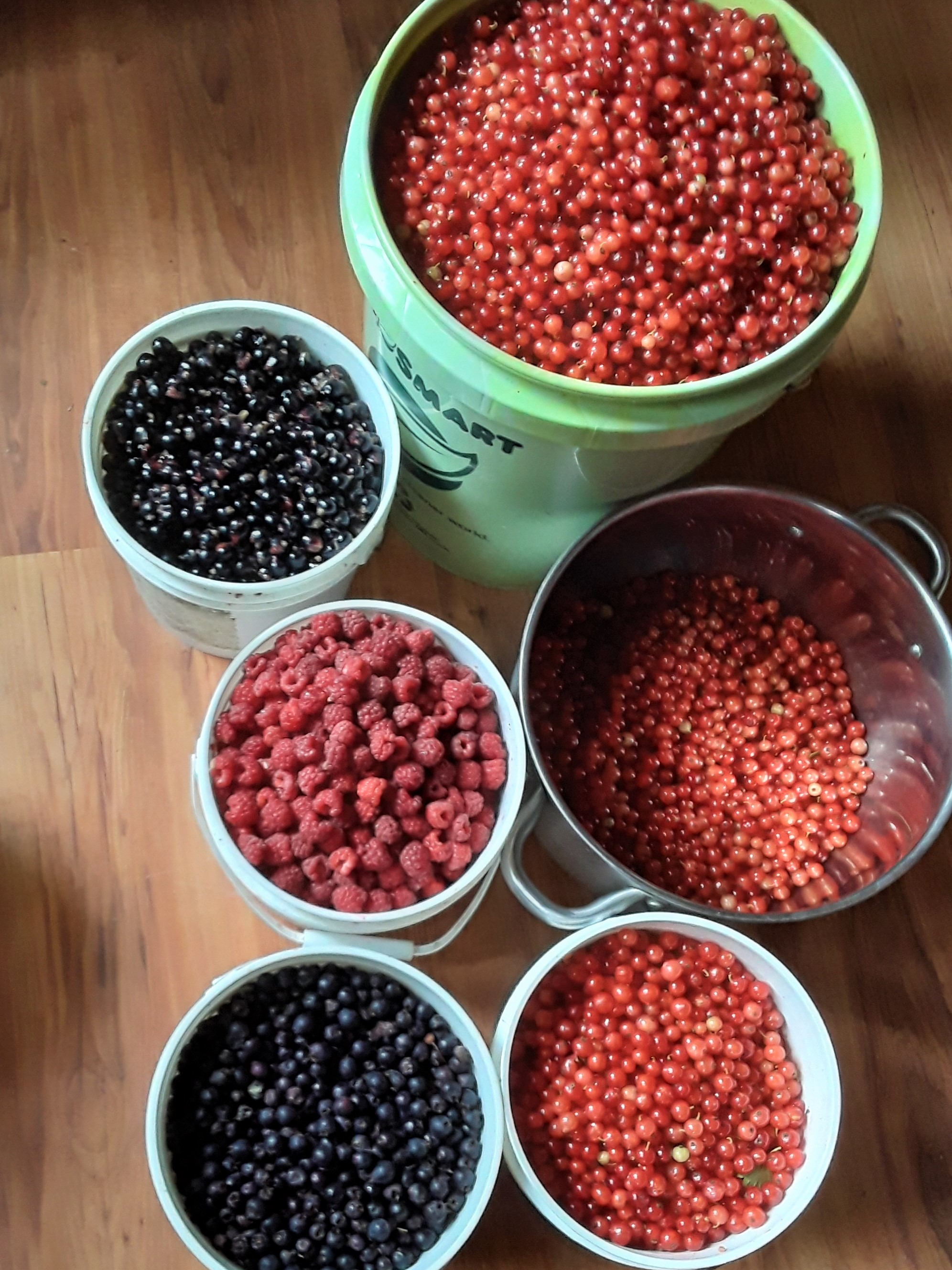 Alaska grown berries